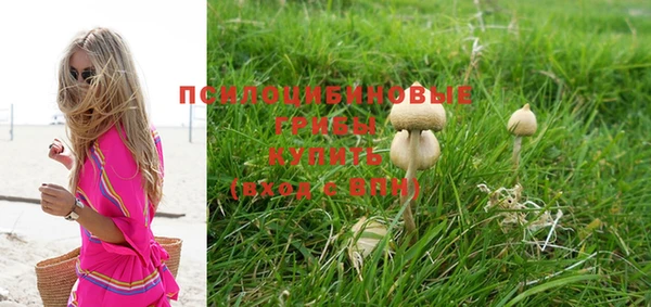кокс Богородицк
