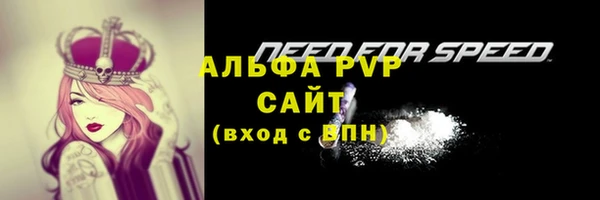a pvp Богданович