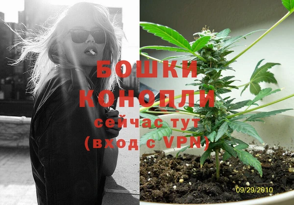 кокс Богородицк