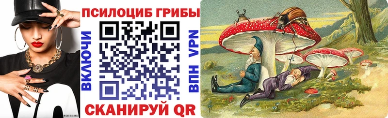 купить наркотики сайты  Комсомольск-на-Амуре  Псилоцибиновые грибы Psilocybine cubensis 